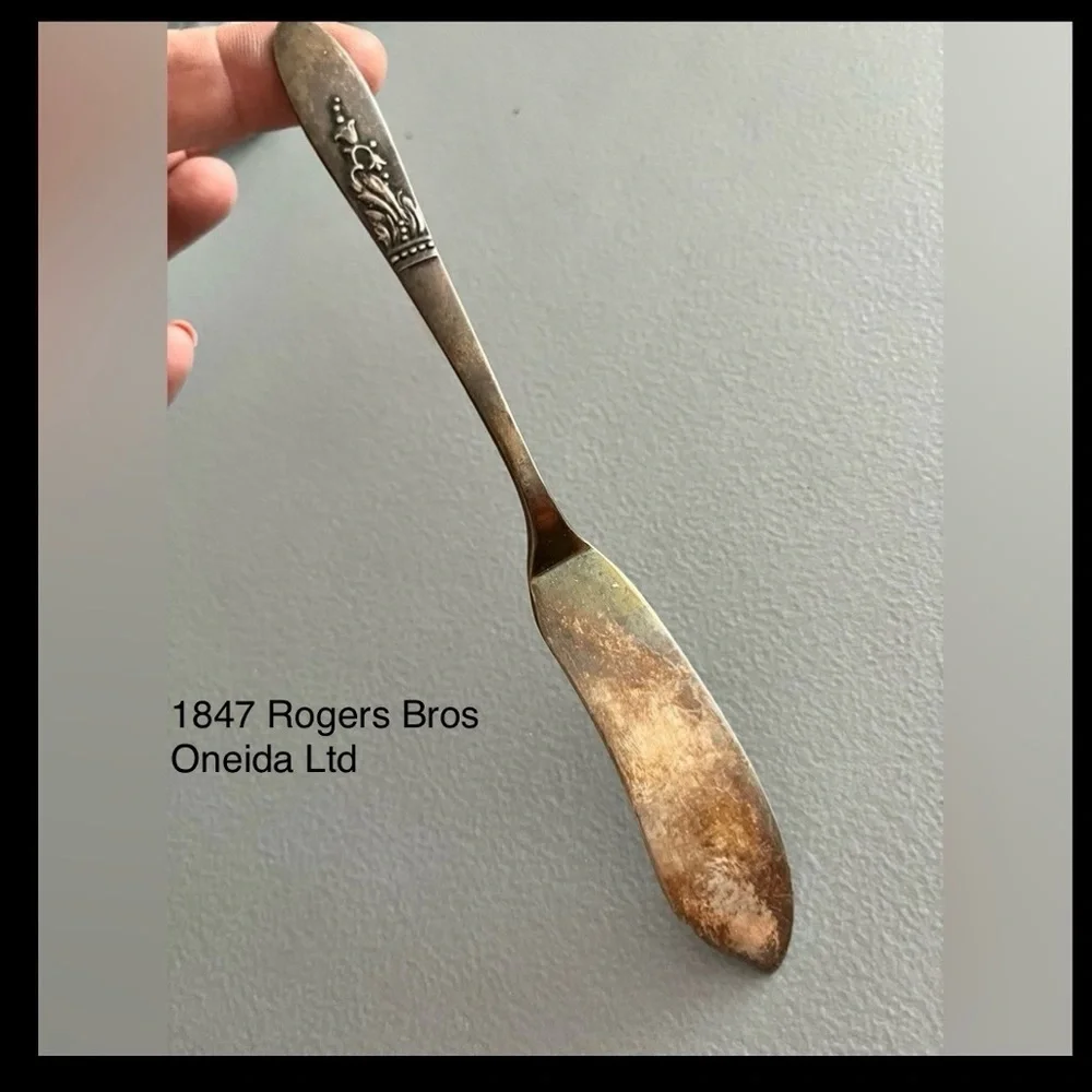Vintage Oneida 1847 Rogers Bros Stainless Flat Butter Knife – Floral Pattern